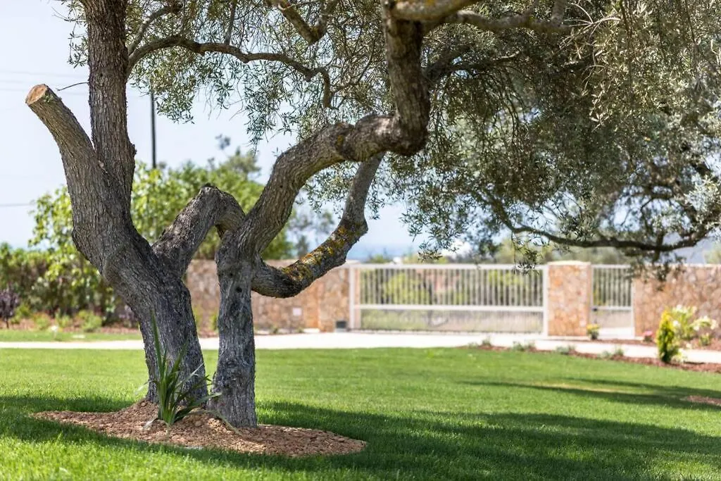 Stunning Villa, Heated Pool, Pool Bar, Sea Views Loule 0*,